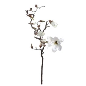 Leonardo Flore Kwiat Magnolia 140 biały 