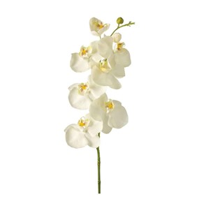 Leonardo Flore Kwiat Phalaenopsis 85 biały 