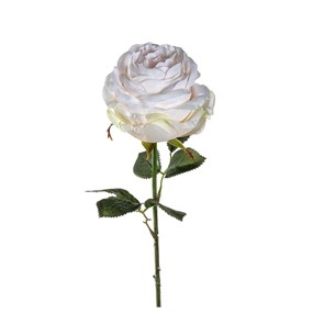 Leonardo Poesia Kwiat Róża 67 kremowy 